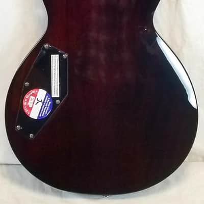 ESP LTD EC-256FM, Flame Maple Top, Mahogany Body, Dark Brown Sunburst image 10