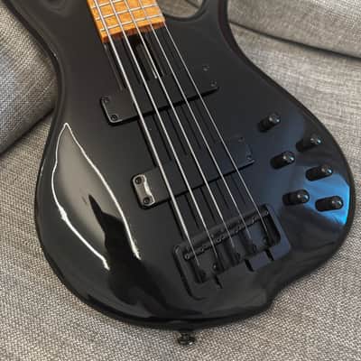 F Bass BN5, brand new with waterproof ATA road case image 1