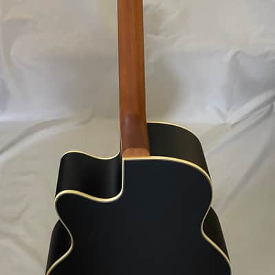 Warwick (Rock Bass) Alien  Standard Acoustic Bass 2022 - Satin image 7