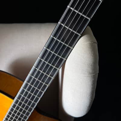 JR Zeidler Jazz Deluxe Special 18" Archtop image 15