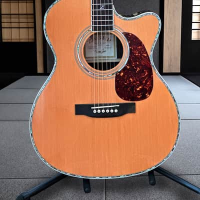 Zager ZAD-80 CD OM Guitar Bundle image 2