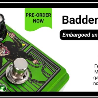 DigiTech Badder Monkey New Bad Monkey image 2