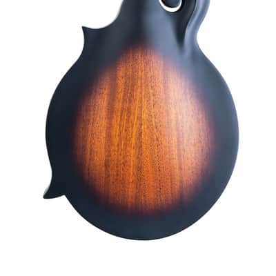 Washburn M108S American Series F Style Mandolin 2020s - Vintage Sunburst image 2