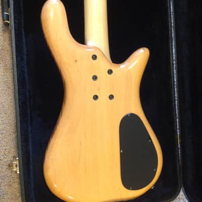 Spector Rebop DLX EX 2008 Zebra wood image 14
