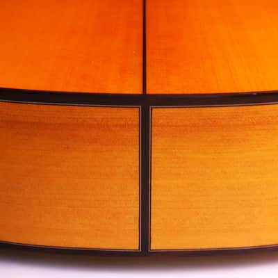 Alhambra Vilaplana 2021 Flamenco Guitar – Authentic Spanish Handmade Instrument Delivering Exceptional Playability and Lyrical Flamenco Sound - check video! image 13