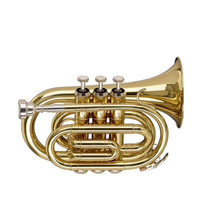 Stagg Bb Brass Pocket Trumpet w/ Gig Bag - WS-TR245S image 2