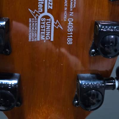 Rare Washburn  Dime Pro V 2004 - Carmel burst image 15