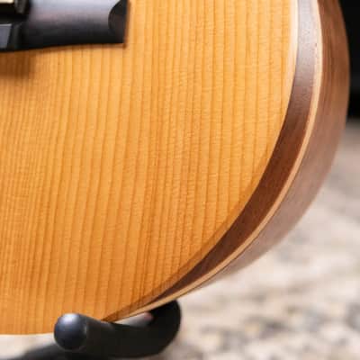 Taylor Academy 12e-N Left-Handed Nylon Grand Concert Acoustic/Electric Guitar with Gig Bag image 12