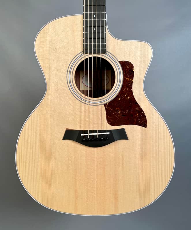 Taylor 214ce Acoustic-Electric image 1