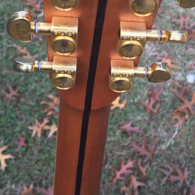 Zager 900CE 50th Anniversary image 10