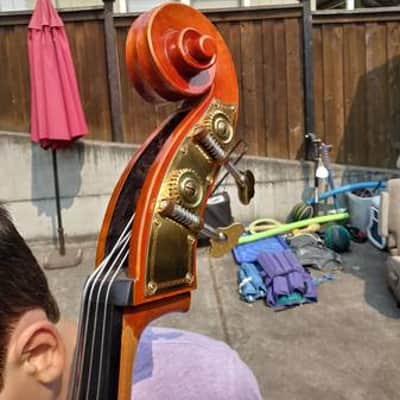 Samuel Eastman VB80 1/4 size acoustic bass 2013 amber image 5