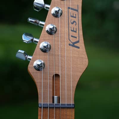 Kiesel Delos Black Raw Tone Ash image 6