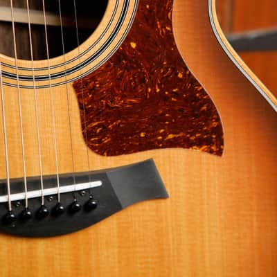 Taylor 414ce Studio Shaded Edge Burst Acoustic-Electric Guitar image 5