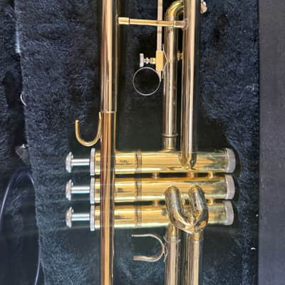 Trumpet with case and mouthpiece image 2