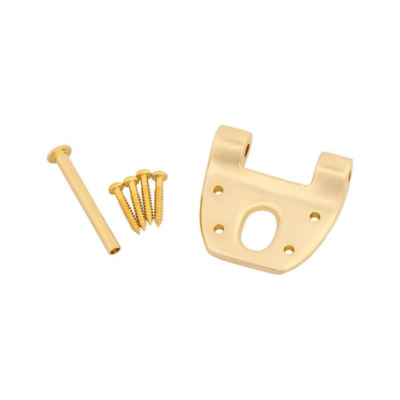 Bigsby extra short hinge with pin and screws, Gold image 1