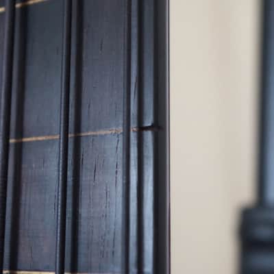 Bernie Goodfellow Fretless Classic image 8