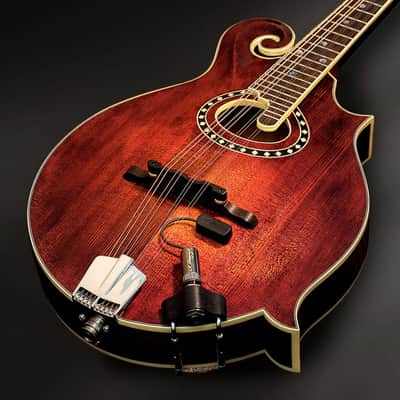 LR Baggs Radius-M Mandolin Pickup with external Jack Mount Bundle w/ 12x Fender Picks and Liquid Audio Polishing Cloth image 6