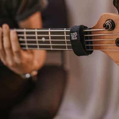 Ernie Ball FretWraps-S image 17