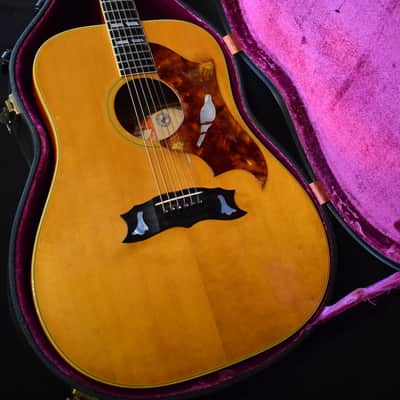 Gibson Dove Custom 1973 - natural image 17