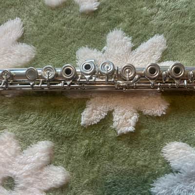 Solexa 201 Flute – Full Setup w/ Hard Case, Travel Case, Cleaning Kit + Plugs image 3