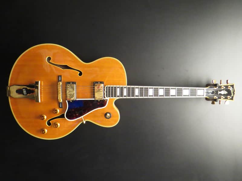 Gibson 1991 L5 Natural image 1