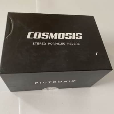 Pigtronix Cosmosis | Reverb