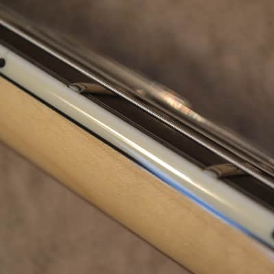 Mayones Regius 25th Anniversary image 16