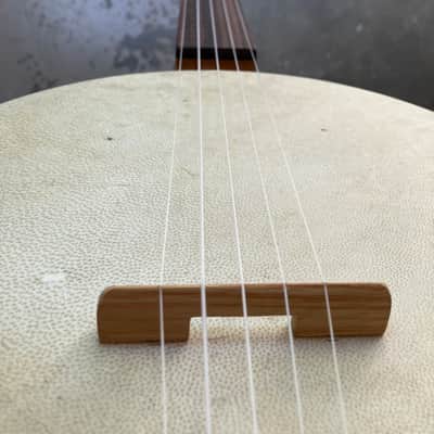 Nate Calkins Tackhead Banjo 2026 image 8