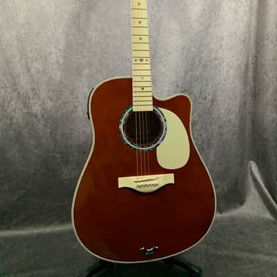 Esteban VL-200 Acoustic/Electric Prototype 2009 image 3