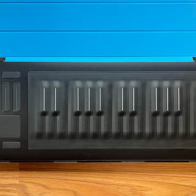 ROLI Seaboard RISE 25 with Blue Flip Case image 2