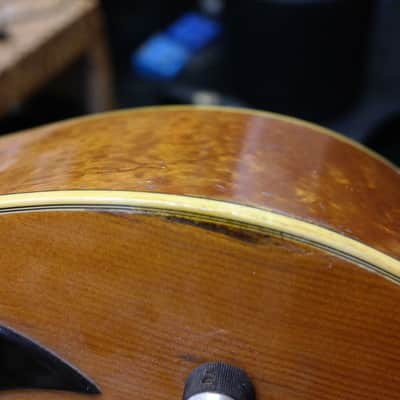 Eko Ranger VI Electroacoustic (Hard Case included) image 18
