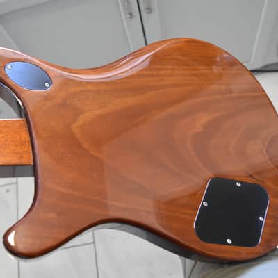 PRS McCarty 594, 2025, OHSC & paperwork, Gorgeous specimen image 16