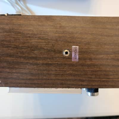 Radel DX-Soft Analog Saarang/Tampura with Original Case and Manual image 5