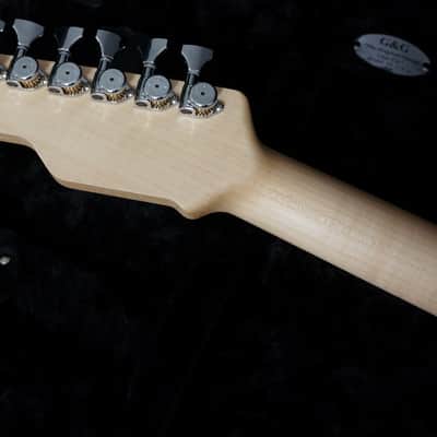 2020 James Tyler Guitars Studio Elite HD in Alien Guano - Super Clean! Like New! image 12