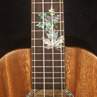 Handmade Concert Ukulele, Solid Ziricote & Spruce, Carved backboard, Soft-bag, Bruce Wei UG15-2894 image 10