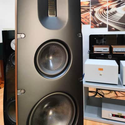 SCANSONIC BY RAIDHO Q10 image 4