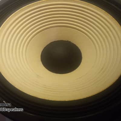 JBL L100  WOOFER 2213 D123 REPLACEMENT WOOFER(S) 12" WITH 3" VOICE COIL image 1