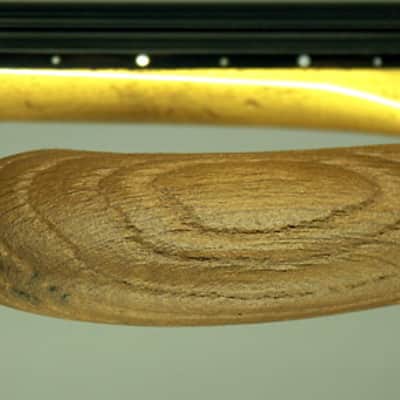 Ritter Royal "The Stone Age Roya" 5 string Fretless Bass image 5