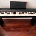 Casio PX-160CSU Privia 88-Key Digital Piano with CS67 Stand 2010s - Black