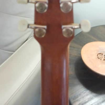 Seagull 25th Anniversary Mahogany/Spruce HG 2008 - Clear image 17