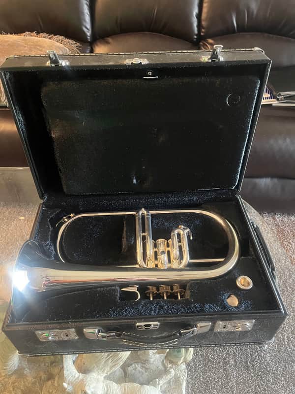 Yamaha YFH-731 Professional Flugelhorn | Reverb