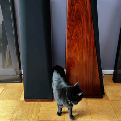 Thiel CS 2.3 Coherent Source Loudspeakers late 1990s - Dark Cherry image 3