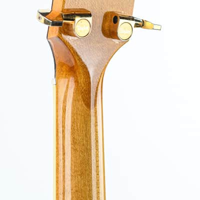 Taylor GS6 2009 image 7