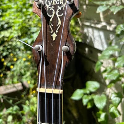 1920s FAIRBANKS VEGA TubaPhone 4 string Tenor Banjo w/ resonator plate and pickup. image 2