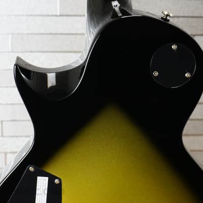 ESP LTD BK-600 Bill Kelliher Signature - Vintage Silver Sunburst image 12