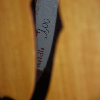 Eko Model 100 – Vintage Archtop Guitar made in Italy Gitarre image 7