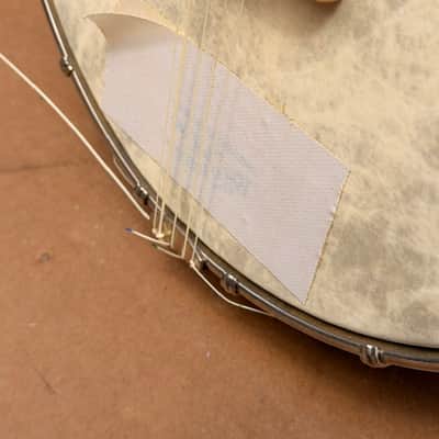 Vintage Recording King Lined Fretless Open-Back Banjo image 7