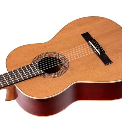 Ortega R200SN Traditional Series Cedar Top Mahogany Neck Nylon 6-String Classical Acoustic Guitar w/Gig Bag image 9