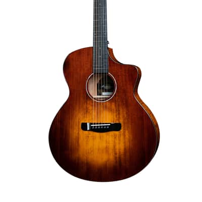 (超希少・状態良し・JAZZ系レコーディング時使用) Gracy vintage 1982 Saga DG200 Django Reinhardt Jazz Acoustic Guitar | Reverb