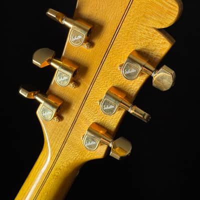 Bozo Podunavac 17" Acoustic Archtop with Calton Case image 14